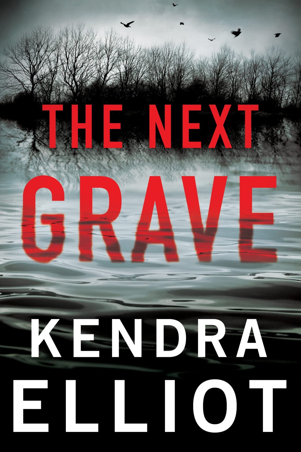 The Next Grave ⎼ Kendra&nbsp;Elliot