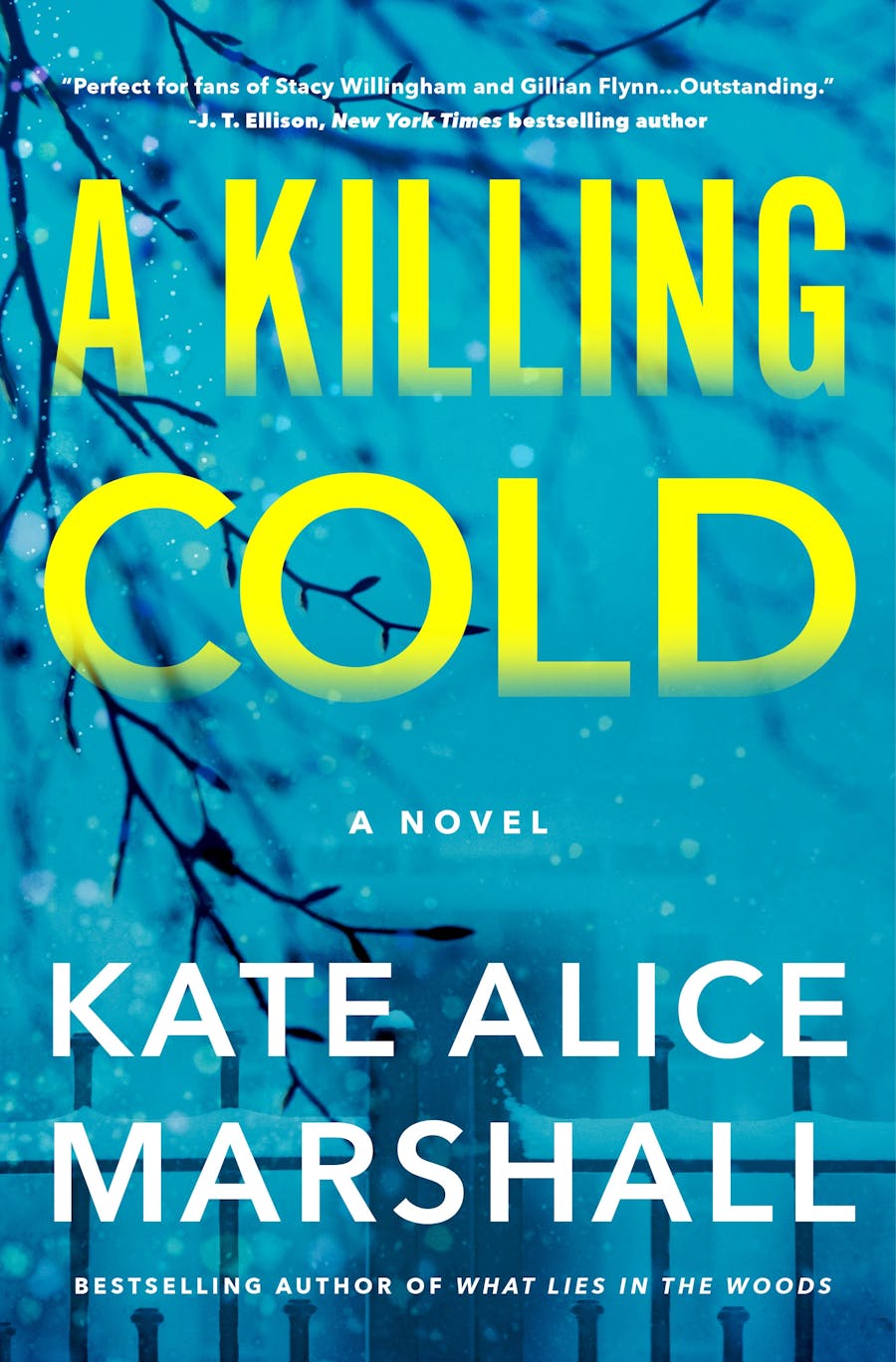 A Killing Cold ⎼ Kate Alice&nbsp;Marshall